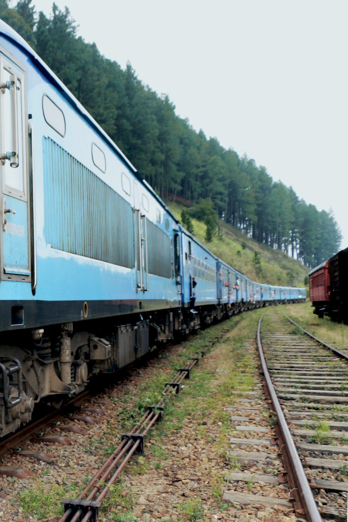 A light-blue train curving along the tracks past a pine forest