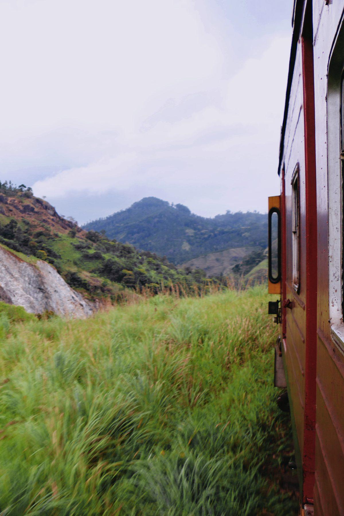 Mountains and tall grass seen from the door of a moving train