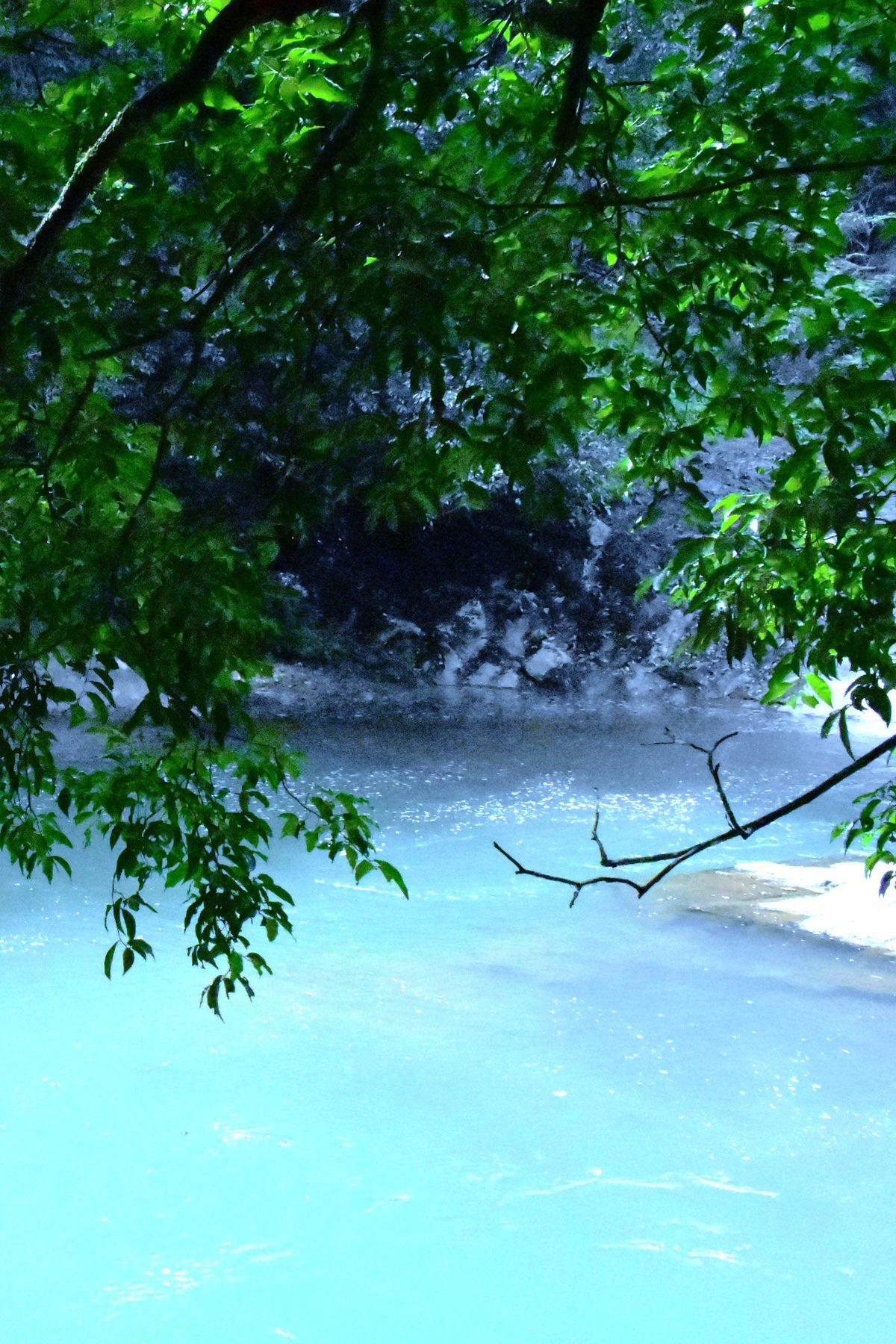 Turquoise river water under overhanging leaves