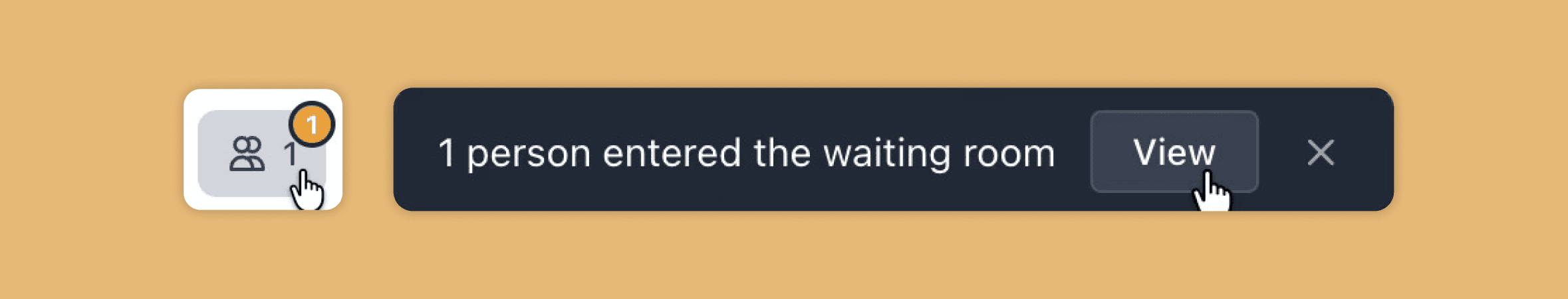 The host’s notification: 1 person entered the waiting room, with a View button